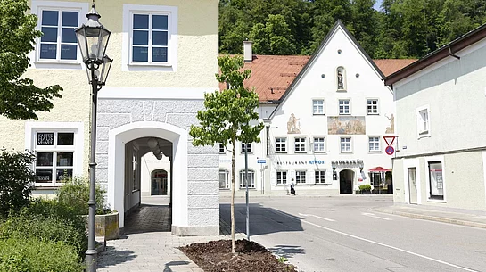 Neu gepflanzter Baum am Museumsparkplatz