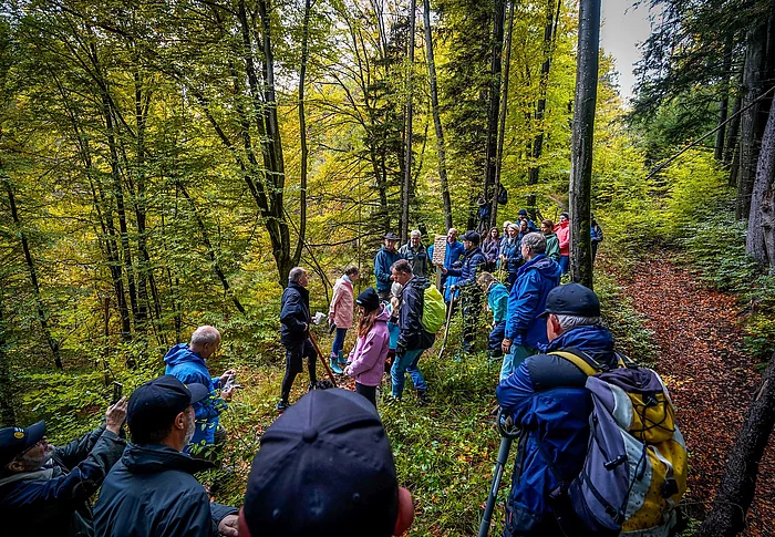 Bergwald Baumpflanzaktion