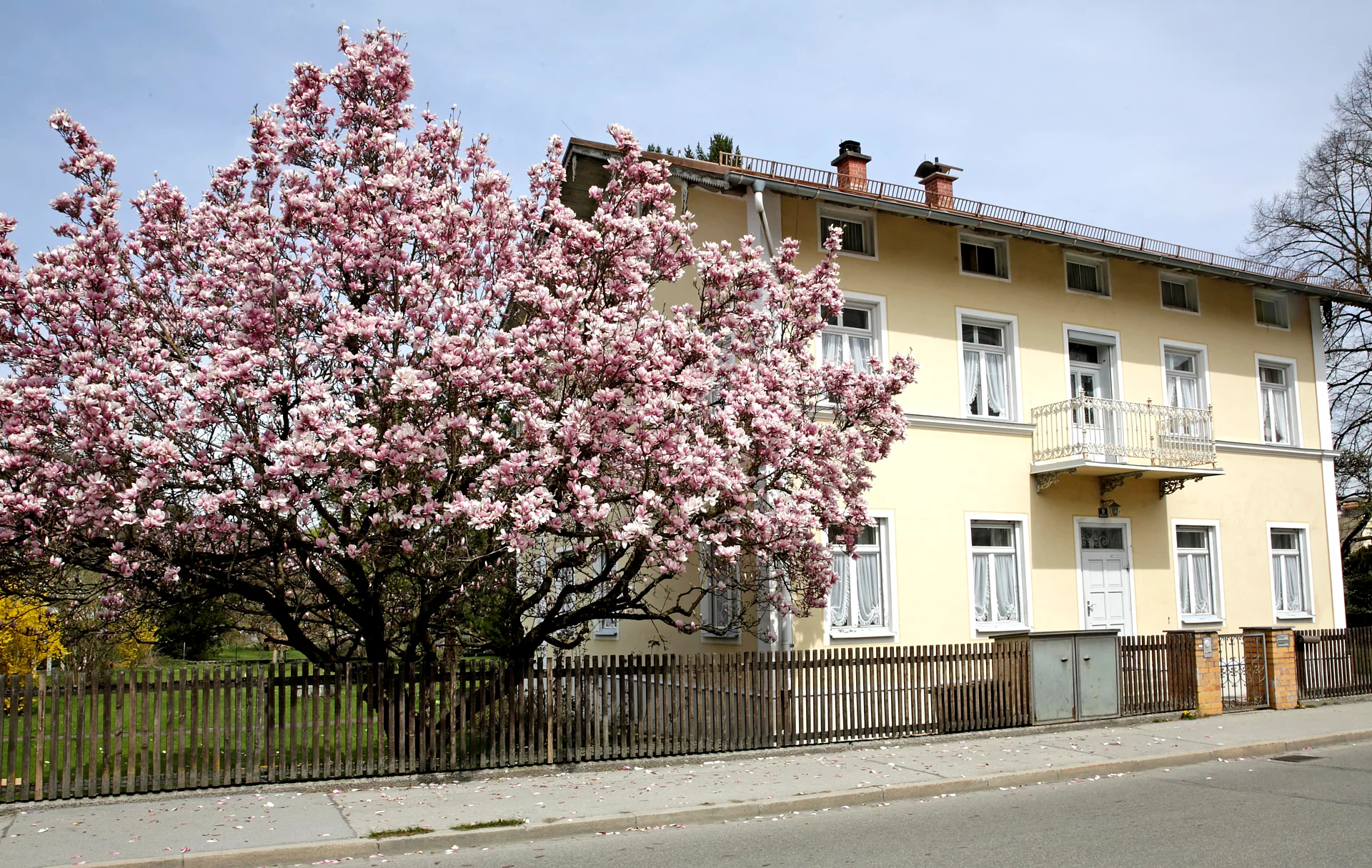 Klein-Anwesen mit Magnolienbaum