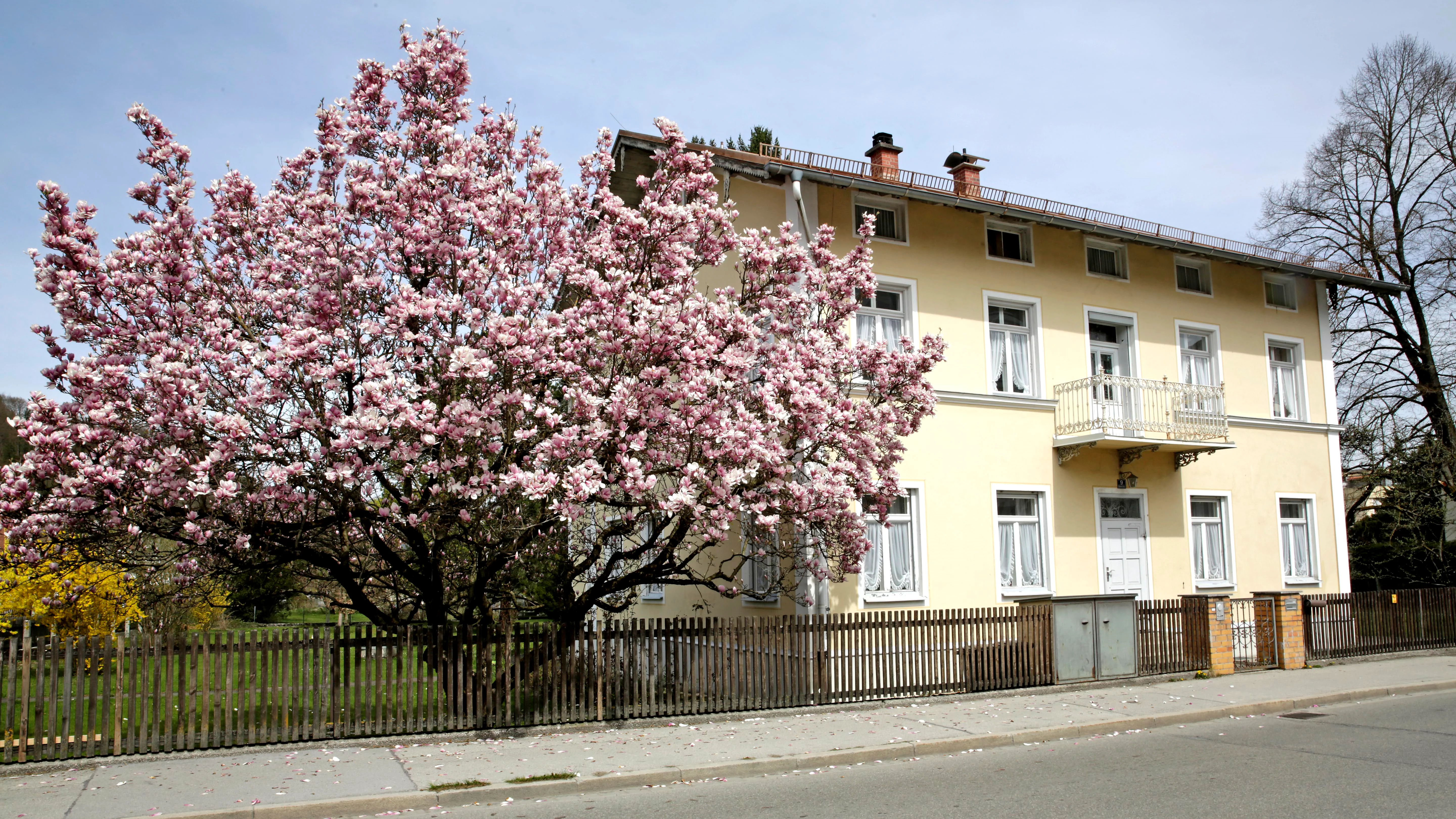 Klein-Anwesen mit Magnolienbaum
