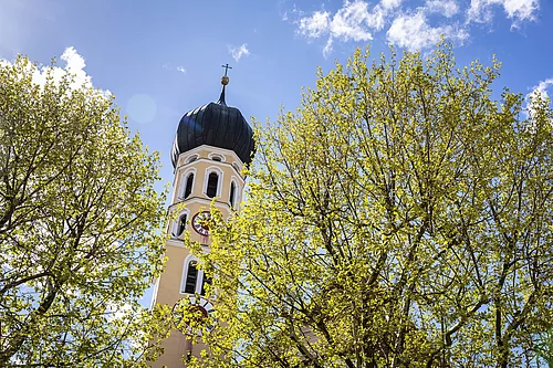 Frühling erstes Grün