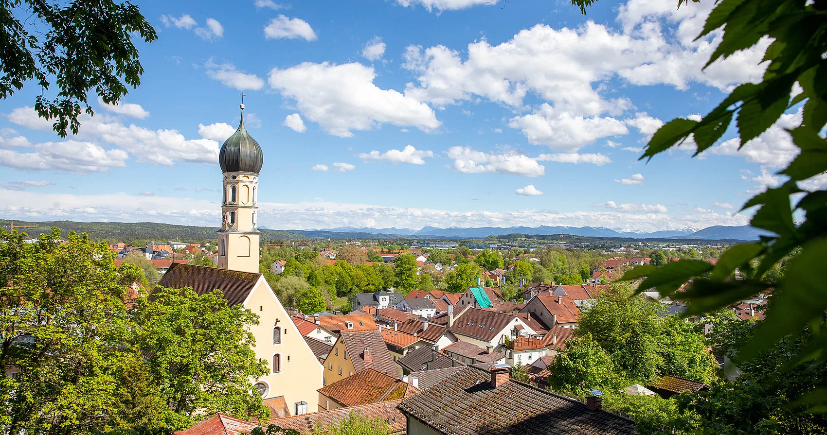 Blick vom Bergwald auf die Stadtkirche St. Andreas