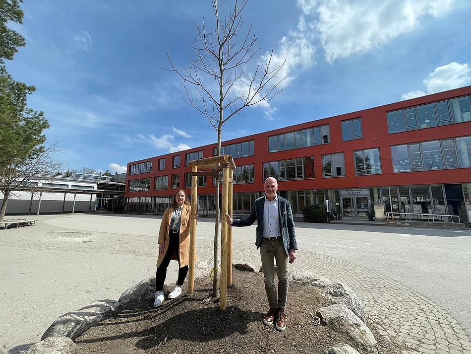 Pflanzung einer Roteiche auf dem Schulhof in Waldram