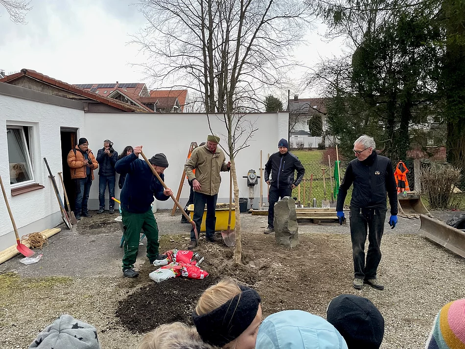 Beuys Eiche Wolfratshausen Beuys Eiche Wolfratshausen