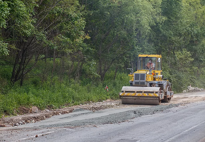 Straßenbaumaschine im Wald