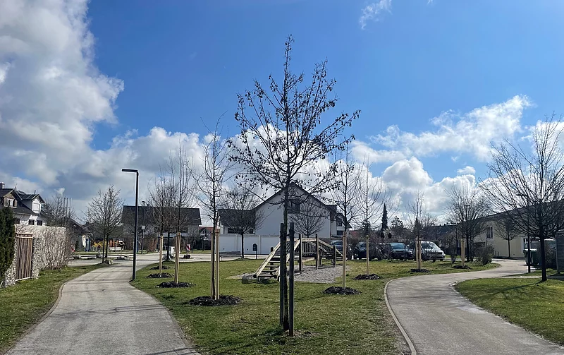 Anpflanzungen Kraft Areal