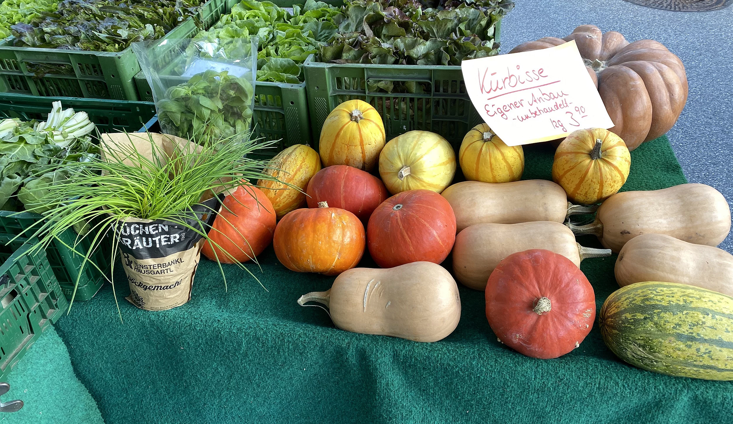 Grüner Markt Chidisign