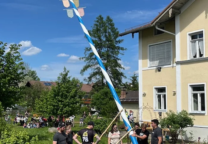 Maibaum im Klein-Anwesen