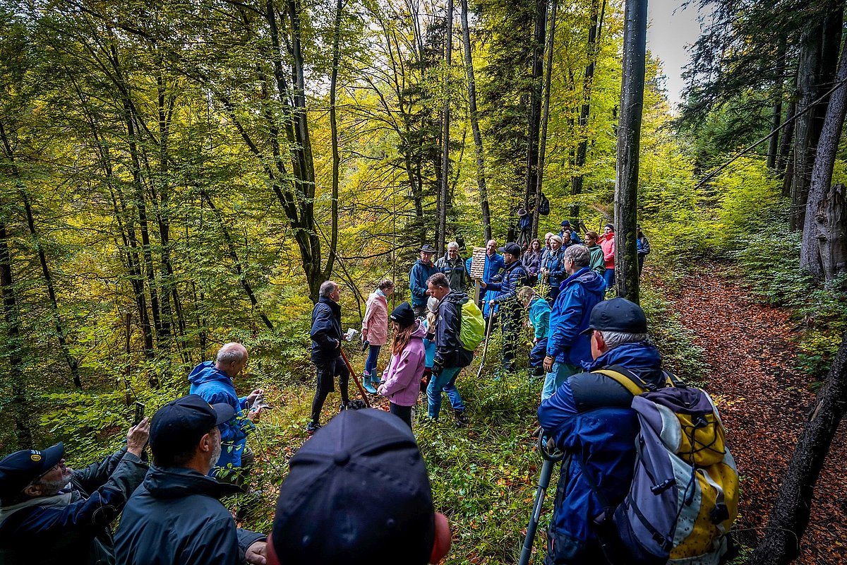 Bergwald Baumpflanzaktion