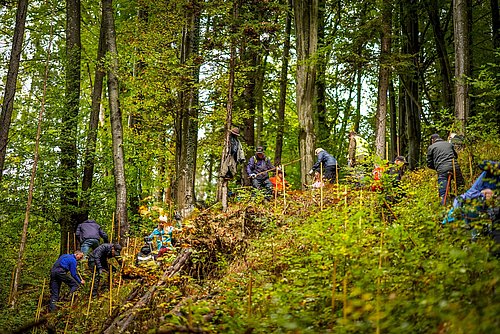 Freiwillige Helfer pflanzen Baumsetzlinge